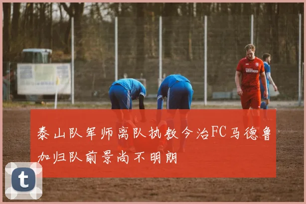 泰山队军师离队执教今治FC马德鲁加归队前景尚不明朗
