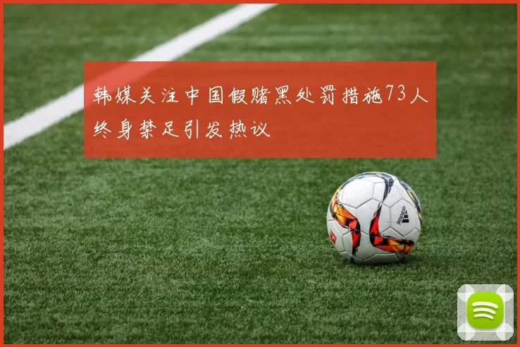 韩媒关注中国假赌黑处罚措施73人终身禁足引发热议
